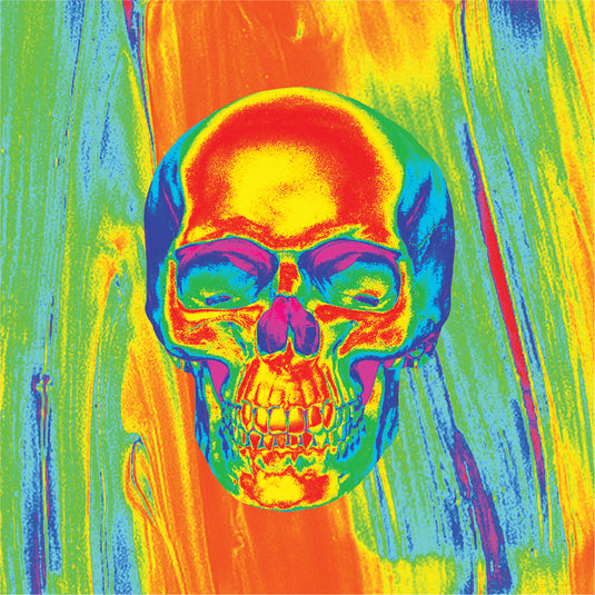 POLY MICROMESH THRML FLYDANNA SKULL ZM595 image 2
