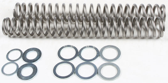 FORK SPRING 1.10KG FRSP S4031110 image 1