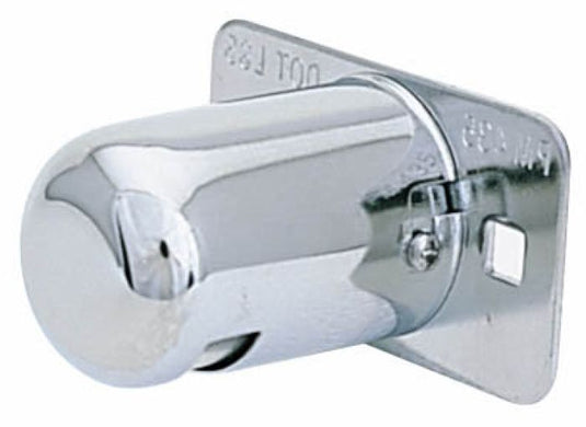 LICENSE PLATE LIGHT, CHROME