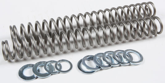 FORK SPRING 0.95KG FRSP S4031095 image 1