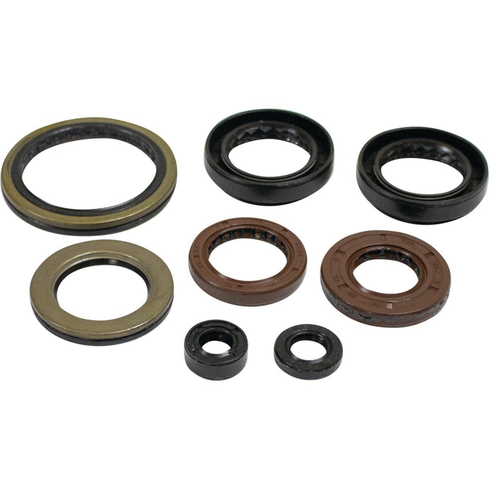 OIL SEAL KIT A/C 822402 image 1