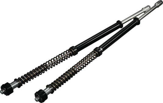 SCEPTER FORK KIT MED 49MM FXD/FXDL/FXDB 06-17 R0900103-2 image 3