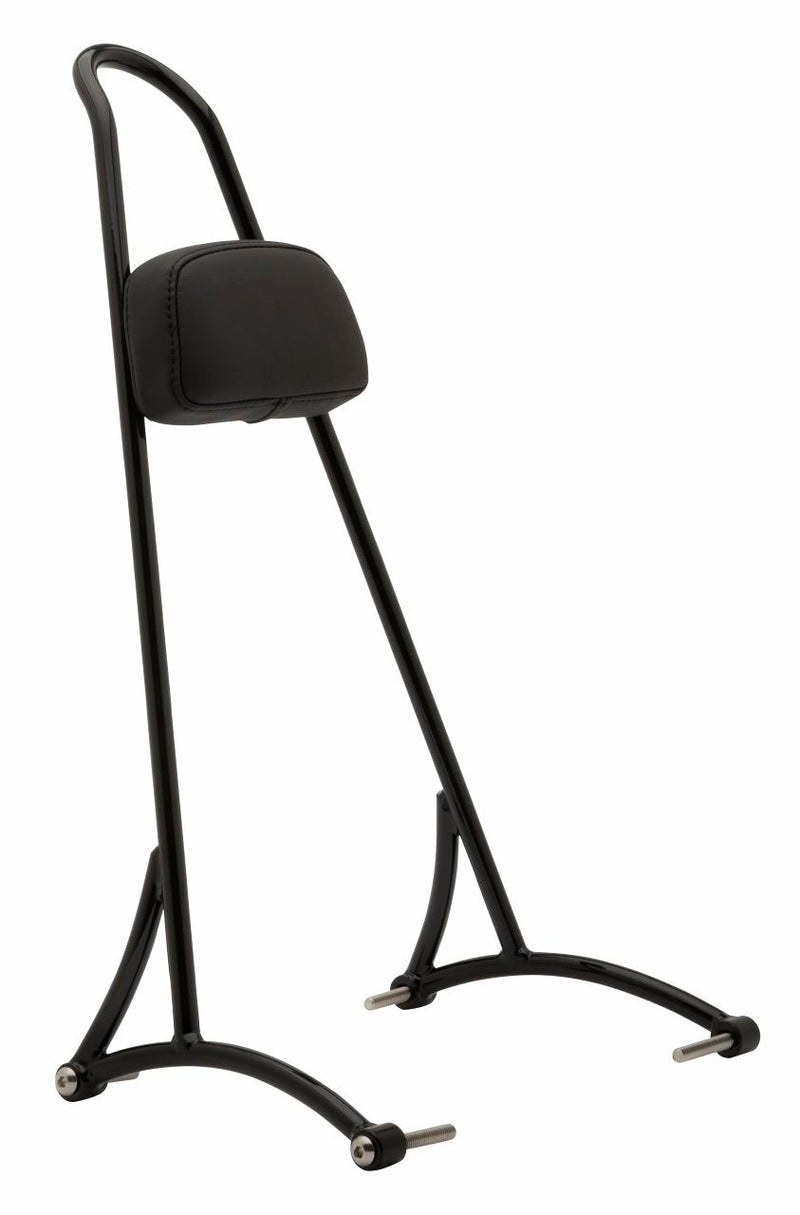 Load image into Gallery viewer, TALL SISSY BAR W/ PAD BLACK XL 94-03 B13-1503B image 1
