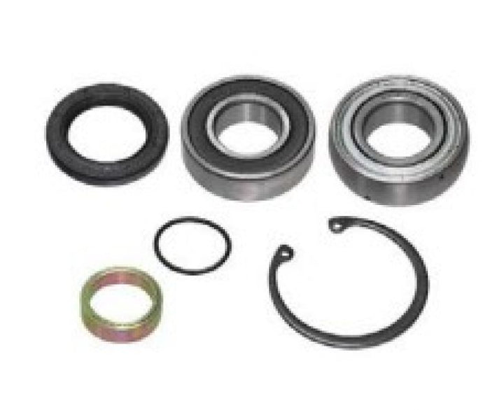 SPI CHAIN CASE BEARING KIT
