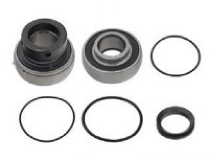SPI CHAIN CASE BEARING KIT