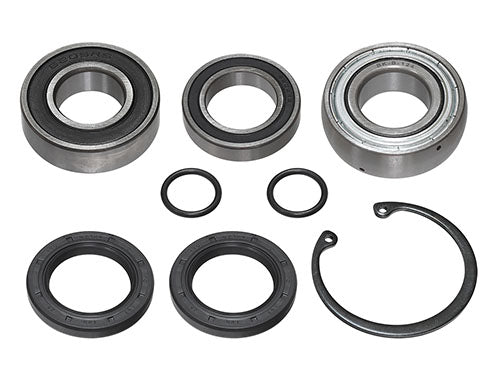 SPI CHAIN CASE BEARING KIT