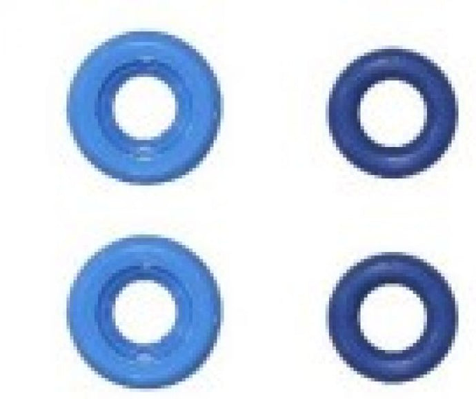 SPI INJECTOR SEAL KIT
