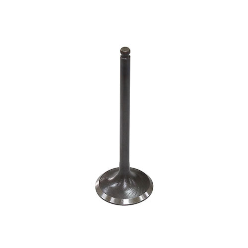 PSYCHIC INTAKET VALVE