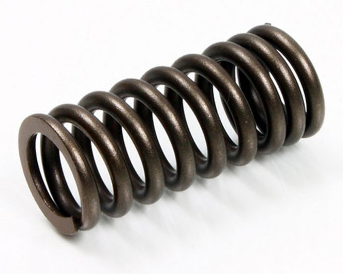 PSYCHIC INTAKET VALVE SPRING