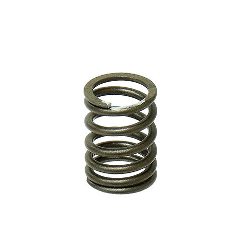 PSYCHIC INTAKE VALVE SPRING