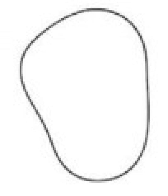 SPI CHAINCASE GASKET