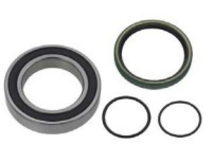 SPI CHAINCASE BEARING KIT