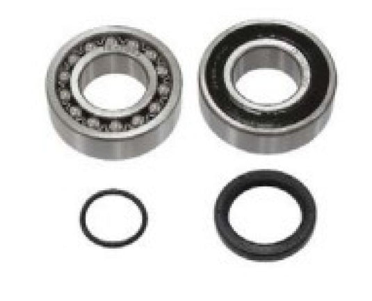 SPI CHAINCASE BEARING KIT