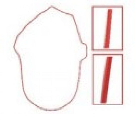 SPI CHAINCASE GASKET