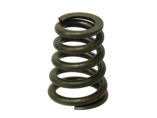 EXHAUST/INTAKE VALVE SPRING