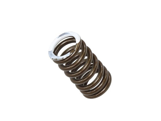 EXHAUST VALVE SPRING