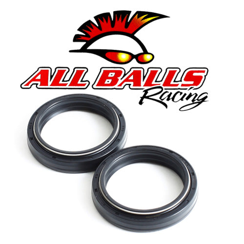 FORK SEAL KIT (REPL 55-118)