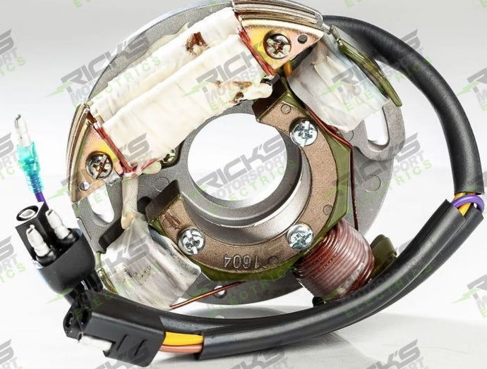 RICK'S ELECTRIC ARCTIC CAT STATOR