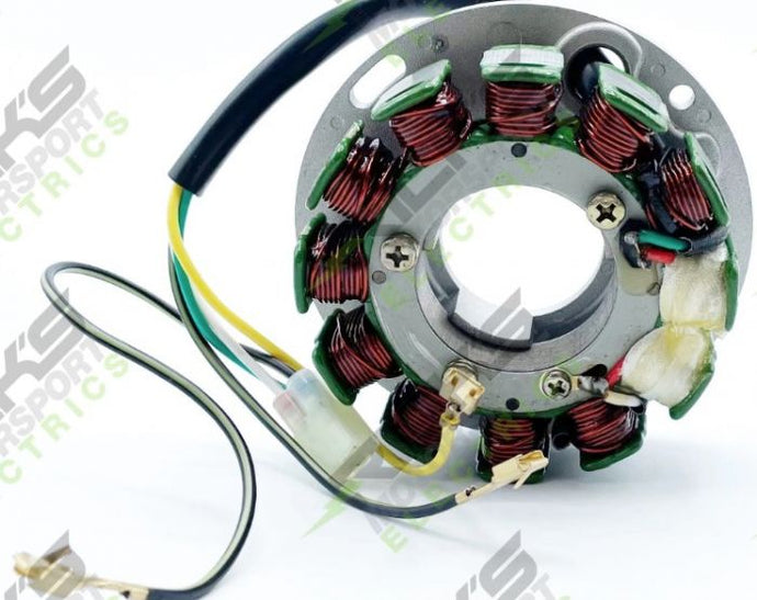 RICK'S ELECTRIC SKI DOO STATOR