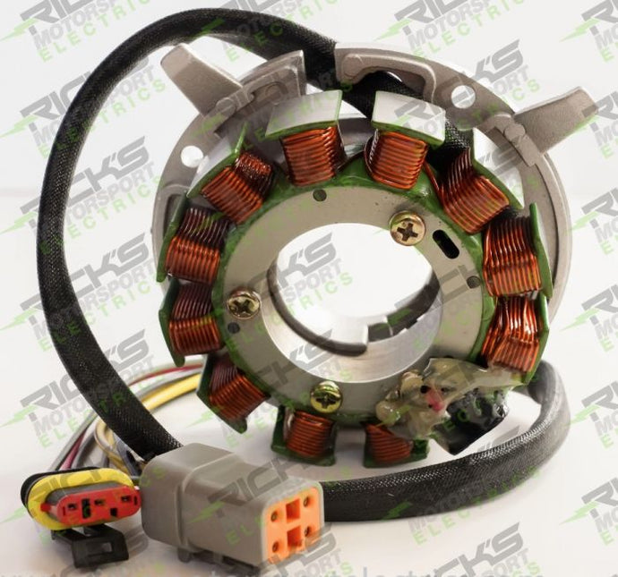 RICK'S ELECTRIC SKI DOO STATOR