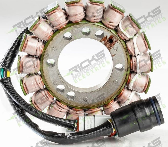 RICK'S ELECTRIC SKI DOO STATOR