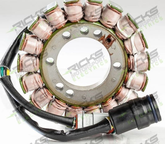 RICK'S ELECTRIC SKI DOO STATOR
