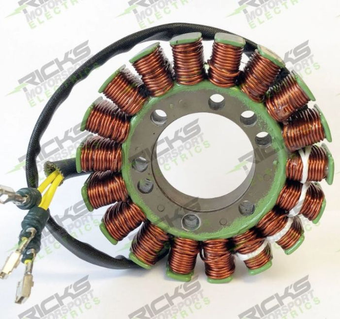 RICK'S ELECTRIC SKI DOO STATOR