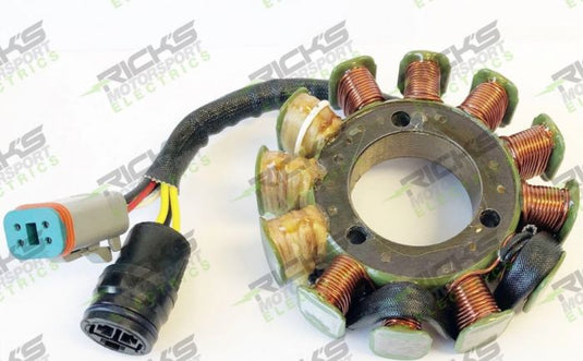 RICK'S ELECTRIC SKI DOO STATOR