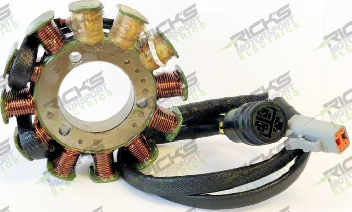 RICK'S ELECTRIC SKI DOO STATOR