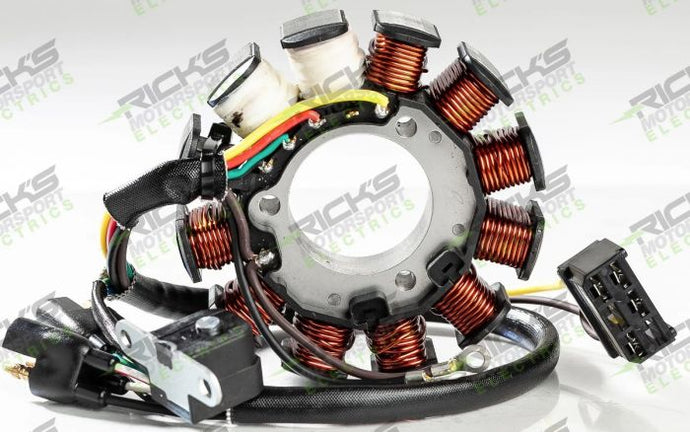 RICK'S ELECTRIC POLARIS STATOR