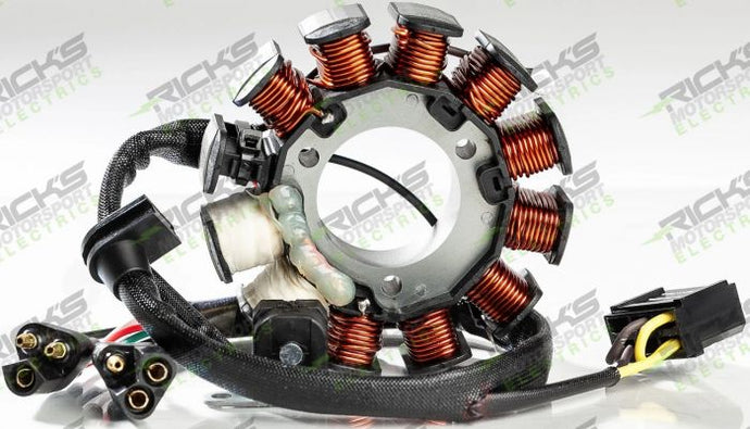 RICK'S ELECTRIC POLARIS STATOR
