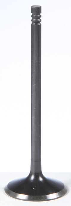 BLACK DIAMOND INTAKE VALVE 91-91162 image 1