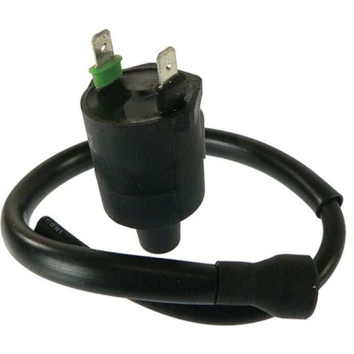 WILDBOAR EXTERNAL IGNITION COIL