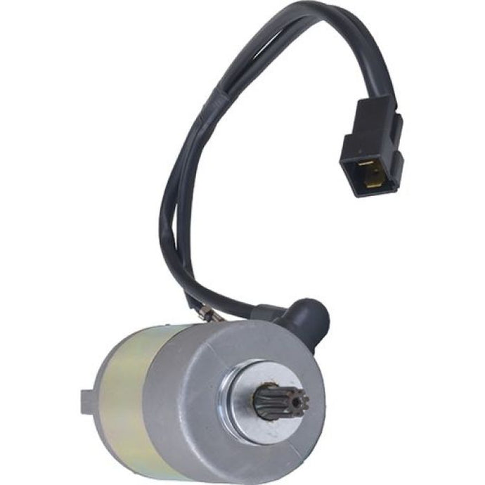 WILDBOAR STARTER MOTOR