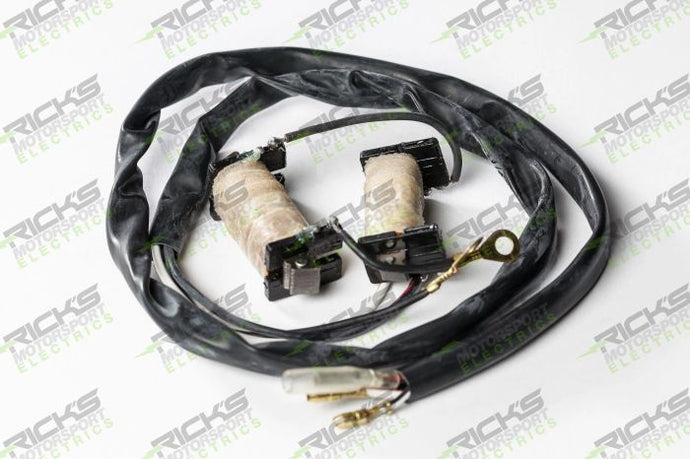 RICK'S ELECTRIC, STATOR KIT