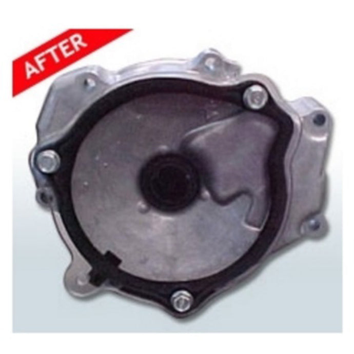 HIGH LIFTER PULL STARTER LEAK SHIELD HONDA