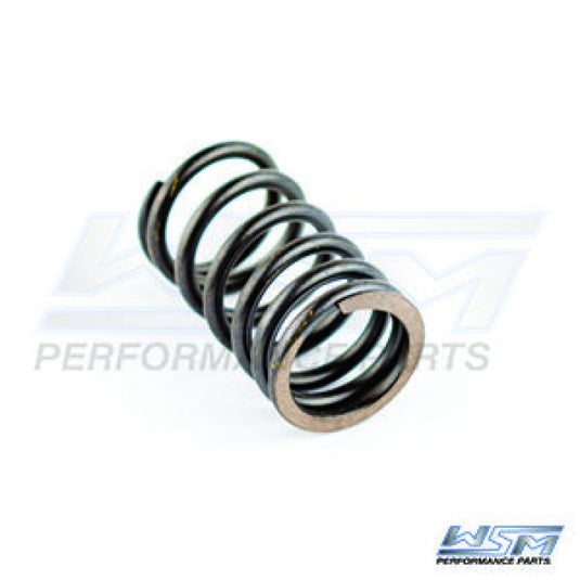 SEA-DOO OUTER VALVE SPRING