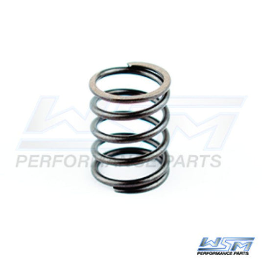 SEA-DOO ROTARY SHAFT SPRING