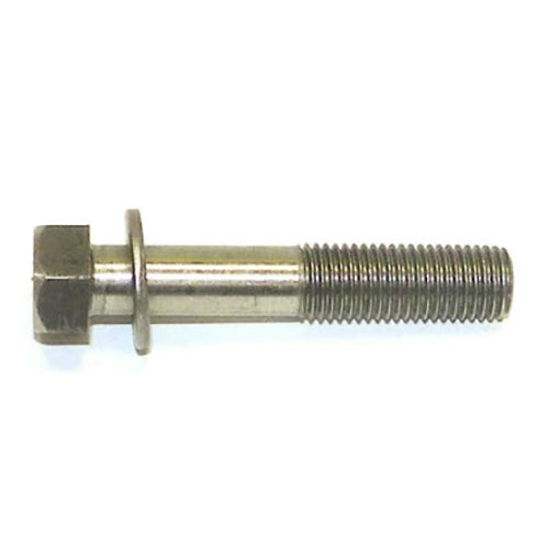 SOCKET HEAD 10X55 STAINLESS