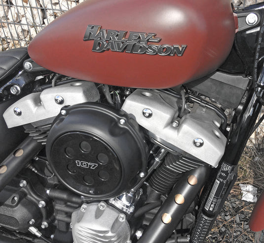 SHOVEL ROCKER COVER M8 RAW RCM8/SH/R image 2