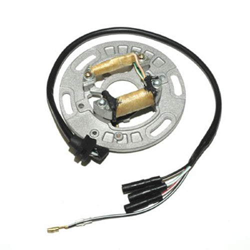 ELECTROSPORT STATOR KAWASAKI KX125/250