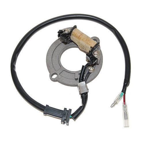 ELECTROSPORT STATOR HONDA CR80