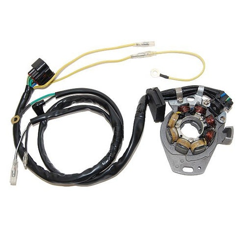 ELECTROSPORT LIGHTING STATOR CR125R/250R (00-01)