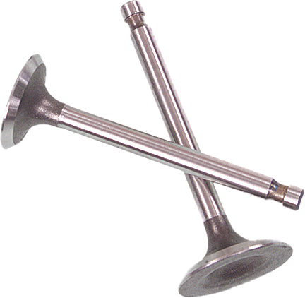 VALVE SET TRX500 FOREMAN 05-12 07-031 image 1