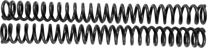 SCEPTER OPTION SPRING HVY 39MM R3050077 image 1