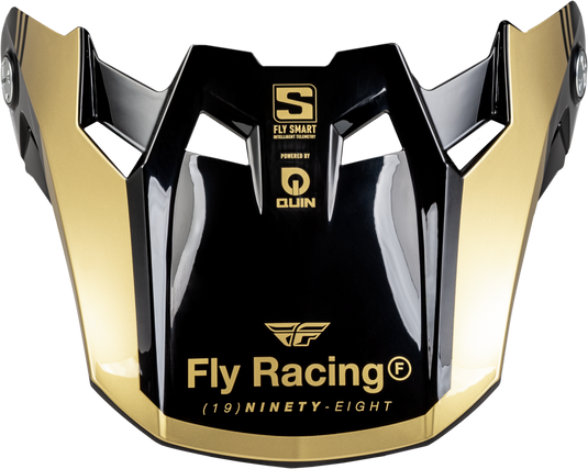 FORMULA S CARBON LEGACY VISOR BLACK/GOLD YL/SM 73-4452 image 1