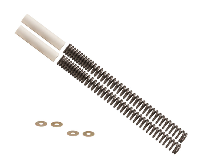FORK SPRING KIT B28-1100 image 1