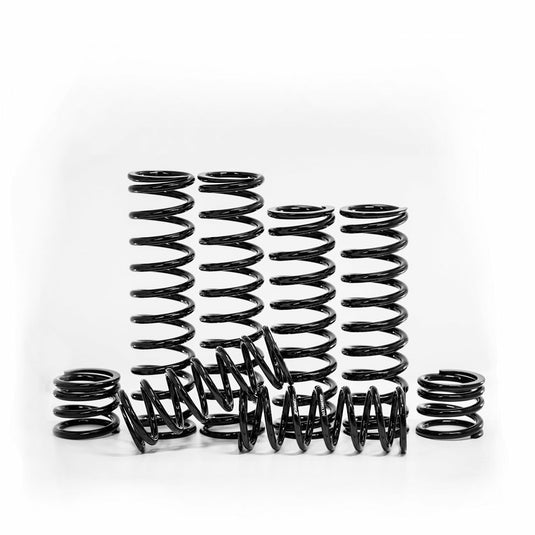 DUAL RATE SPRING KIT HON K25-HA01-0 image 1