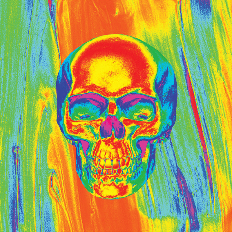 Load image into Gallery viewer, POLY MICROMESH THRML FLYDANNA SKULL ZM595 image 2
