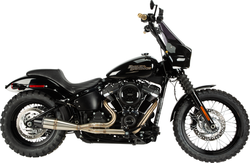 Load image into Gallery viewer, 2IN1 M8 SOFTAIL FULL LENGTH BRUSHED SS 930-01202 image 2
